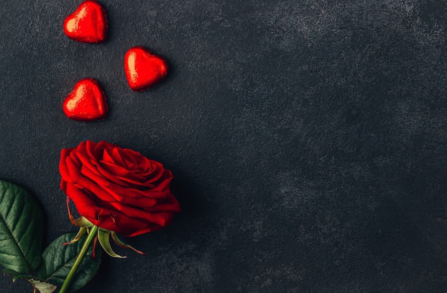 rosa vermelha e corações vermelhos de chocolate