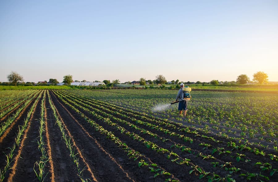 Homem aplica agrotóxico em plantação