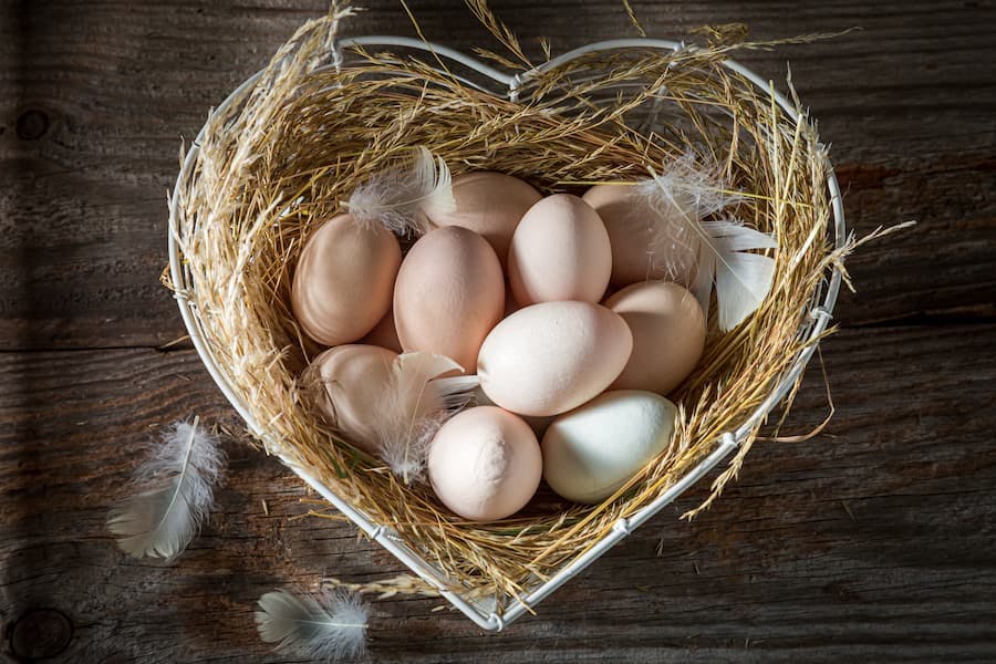 O grande mito do Ovo: Conheça os benefícios do ovo