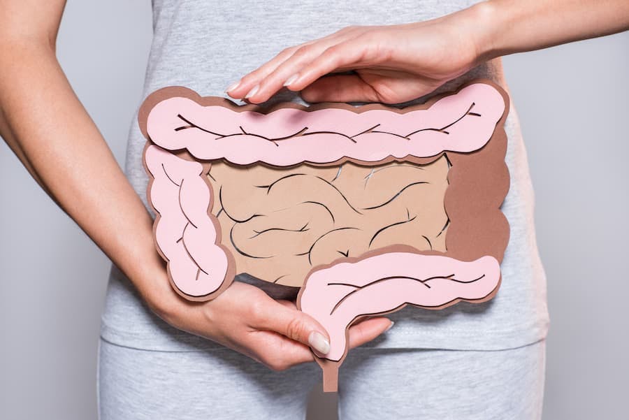 Imagem de mulher, na altura dos quadris seguras uma imagem do intestino