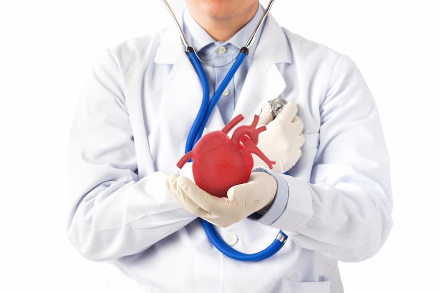 médico segura coração de plástico